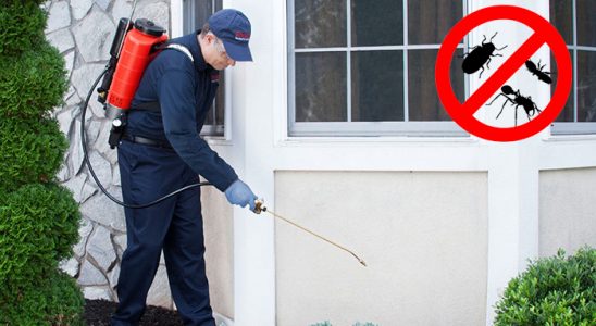 Ünye Tahtakurusu İlaçlama böcek ilaçlama ve haşere kontrolü — ilaclama-tr.com